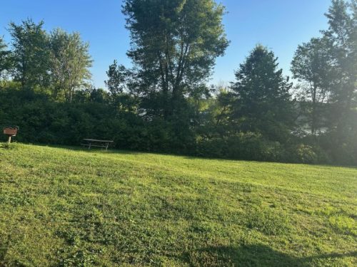 Summer Support Your Park Weekend, July 2025